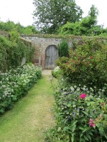 Walled cottage garden, planting gallery