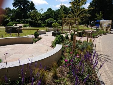 rendered wall, curved wall, sandstone paving, planting, granite, water feature, trellis, salvia, solar water feature