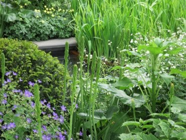 Green scheme, planting gallery