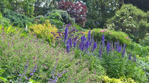 Mixed borders on a slope, planting gallery