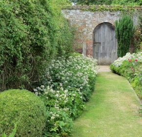 Walled cottage garden, South Oxfordshire, Mark Lane Designs