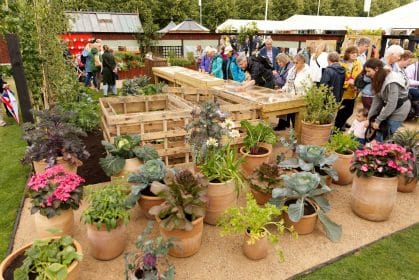 Photograph of the RHS-BBC Morning Live Budget-friendly Feature Garden at RHS Hampton Court Palace Garden Festival 2023, designed by Mark Lane from Mark Lane Designs Ltd